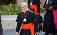 In Case You Missed It: Cardinal Kasper defends Ireland’s gay ‘marriage’ decision