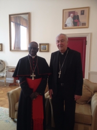 Another Fine Example for the Kids: Cardinal Nichols Publicly Opposing Cardinal Sarah