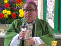 &quot;You do not have permission to have the public celebration of the Extraordinary Form of the Mass&quot; ...Bishop Michael Olson